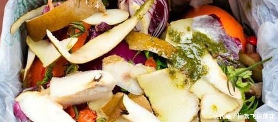 自制养花肥，该如何处理生活垃圾如此办废物可变用