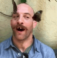 |搞笑GIF:爱妃别怕,朕帮你人工呼吸!