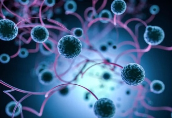 肿瘤|为什么有些人不易得癌肿瘤科主任他们可能有六个特点