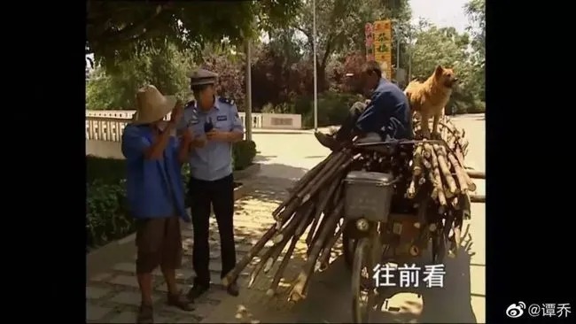 节目|「最可怜的名人」谭乔，在等待中失去自己