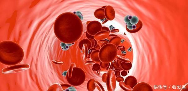 甘油三酯|高血脂患者吃什么好？医生整理了7种食物，排第一的竟不是山楂