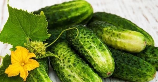 胶质|黄瓜千万不要和这4种食物一起吃，后果很严重，赶紧告诉家里人