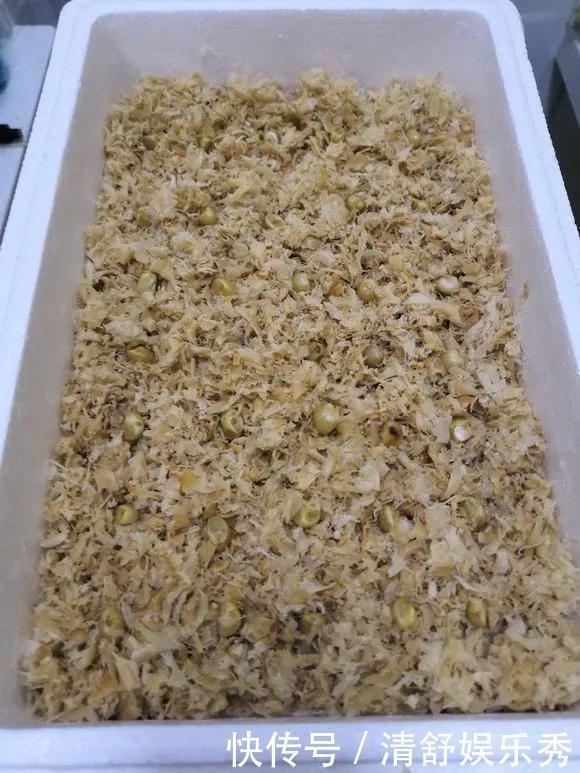 腐叶土|3种“碎渣渣”,是养花的好材料,掺土里花儿蹭蹭长,开爆盆!