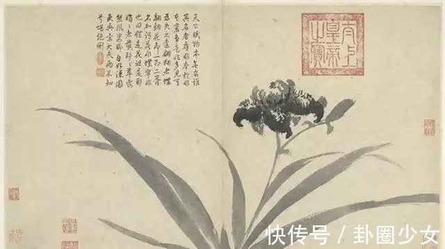 观物写生册&明代对景写生大家|沈周花鸟画《观物写生册》