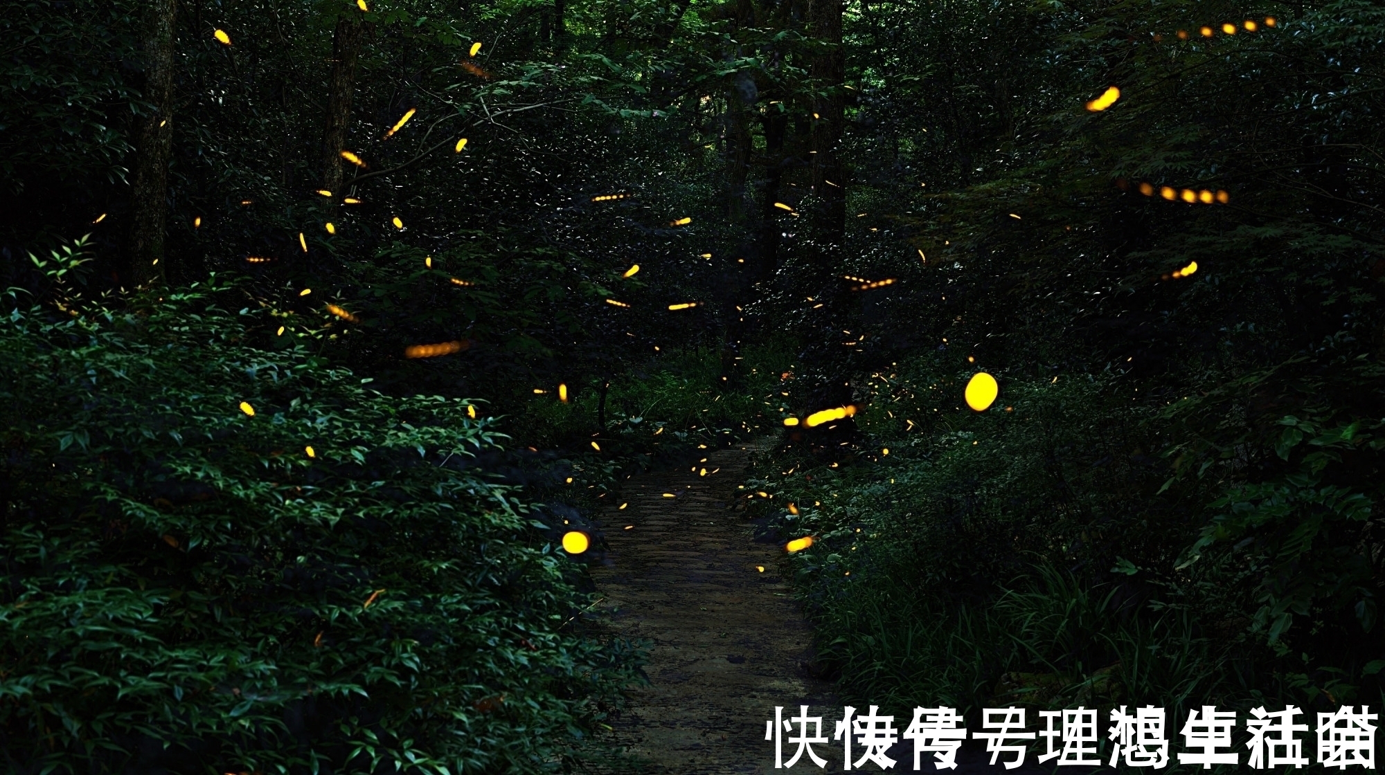 四书@《红楼梦》:“暖香坞雅制春灯谜”众人所制的灯谜详解