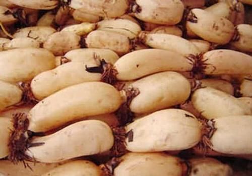 禁忌|常吃莲藕健脾开胃,好处多多,但医生说2类人不能吃,禁忌!