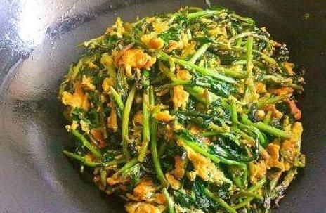 护肝菜|天然的“护肝菜”找到了,隔三差五吃一盘,排出毒素,更利于健康