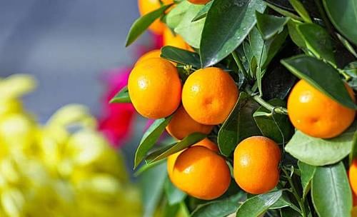 預防身體患病，立夏多吃的食物，滋補身心，促進排毒，越吃越年輕