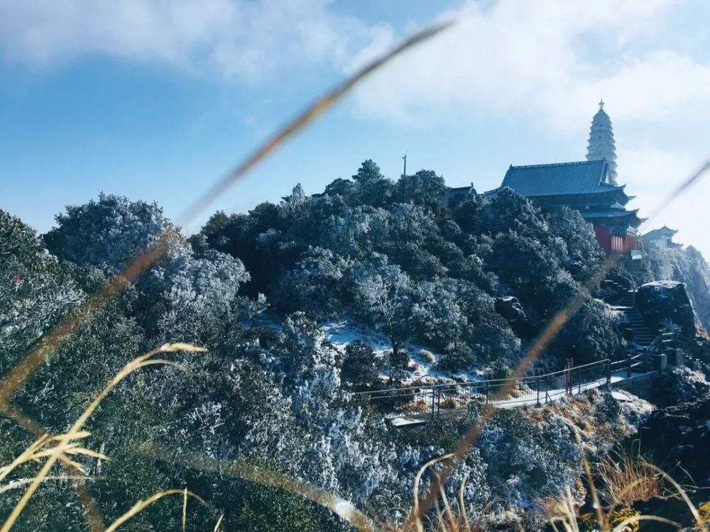 情结|云海与雪景、雾凇齐聚,惊艳了鸡足山的冬天!