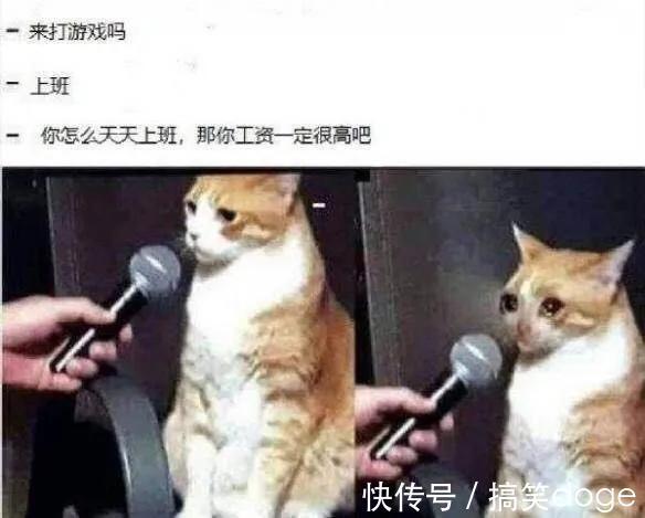 |搞笑合集:我一定是穷疯了,看啥都感觉像钱,还有救吗