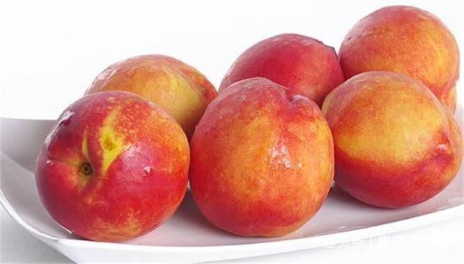 食物|推荐几种好吃的食物,排毒养颜,补血美容,改善便秘,有利健康