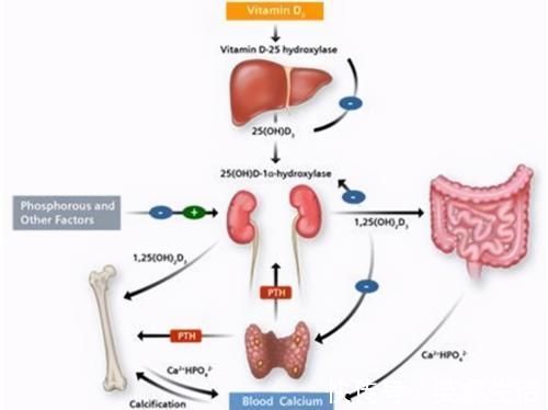 高血压|高血压治疗有了新见解，舒张压不存在“危险低值”