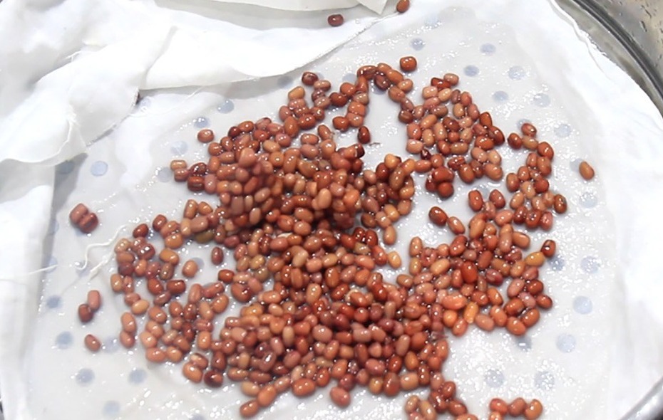 花卷别再用老一套了，教你最新做法，层次多又松软，比面包还好吃