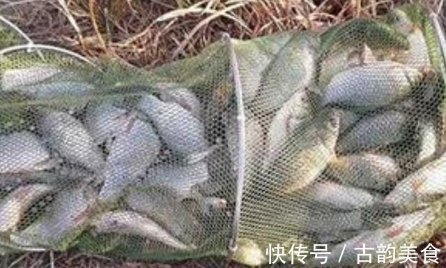 冬钓无口就收竿，难道你没用这3个策略？老钓手：一般人学不来