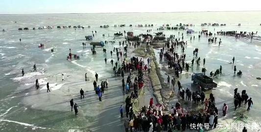 湖中|“查干湖冬捕”历史悠久,湖中鱼却越捕越多?这些人行为太可恨