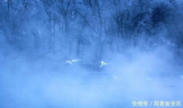 8步识人,不肖之徒,原形毕露