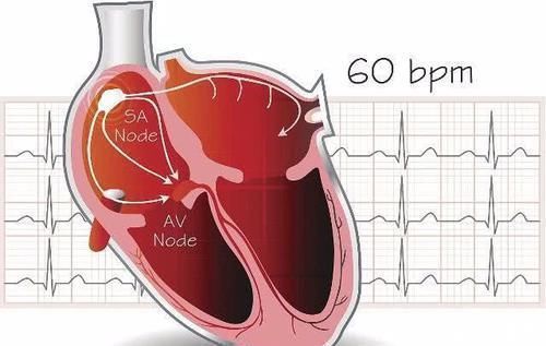 长寿的男性,可能有5个特点,你若占3个以上,恭