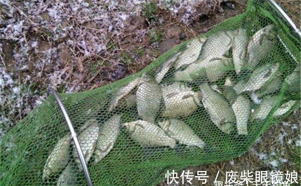 冬钓聚鱼技巧:打窝用这些方法,能把方圆20米的鱼群“请”进窝