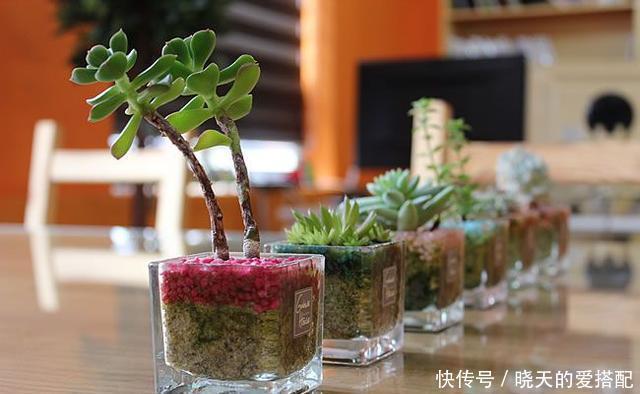 刚买回来的花就黄叶落蕾?这么做立马恢复水灵