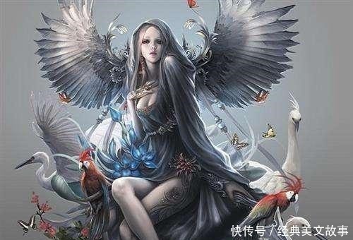 精品|几本完结不久好评连连的精品小说，量大质优不烂尾，书荒赶紧收藏