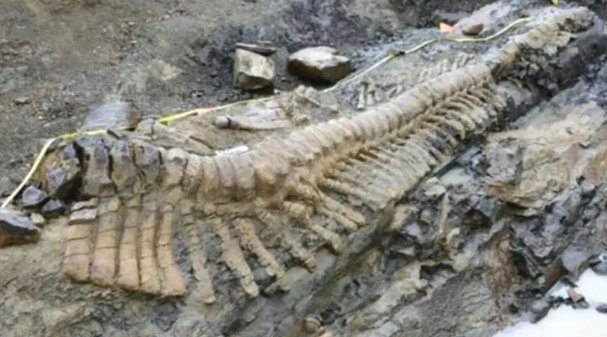 千年古墓被大蛇守护没人敢靠近,专家冒险前去揭开答案