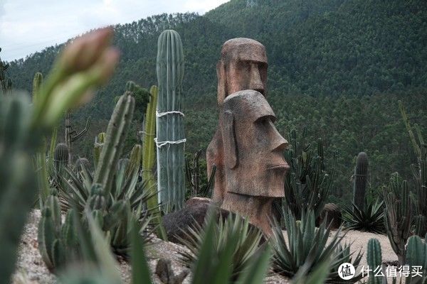 四菜一汤|开车就能到的复活节岛？这里不光有土楼：福建漳州、永定土楼自驾自驾全攻略