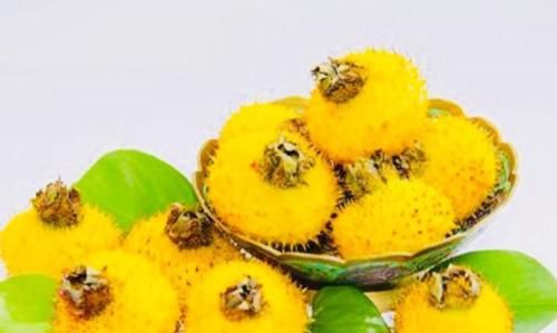 最佳排湿毒期，常吃“黄金果”，湿毒消失，止咳还抗癌！