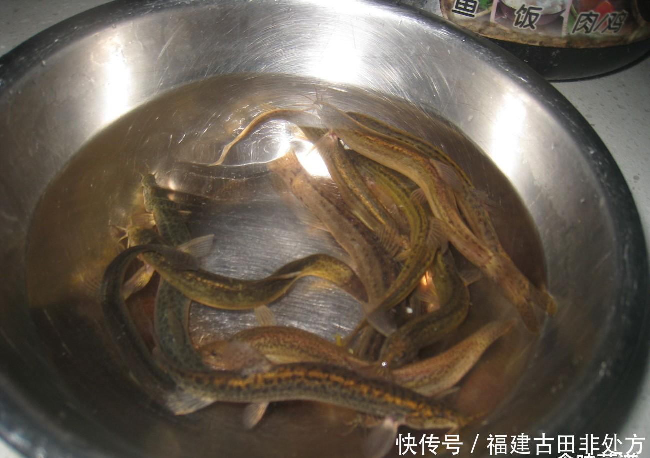 泥鳅要不要掏内脏？很多人搞不明白，为了家人的健康，不妨看一看