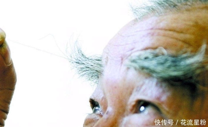 白捡|晨起后,每天喝杯“枸杞水”,可能会白捡4个“礼物”,不妨一试