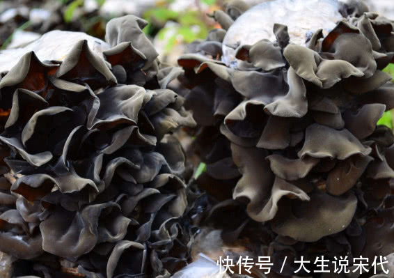 食物|高血糖“最怕”的5种食物，每天吃几口，血糖不再高，远离糖尿病