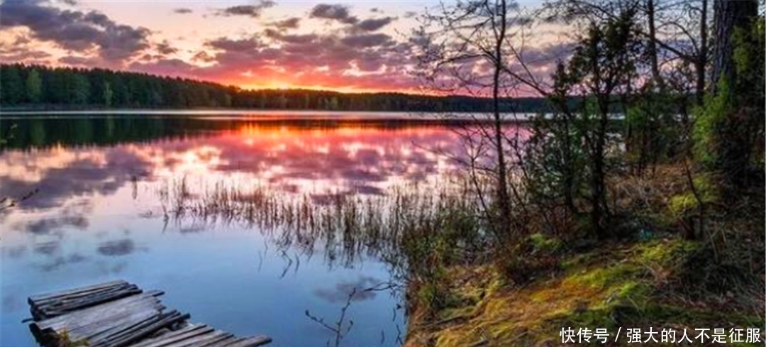 真的|《尼布楚条约》中,曾经提到的以勒拿河为界线是真的吗?