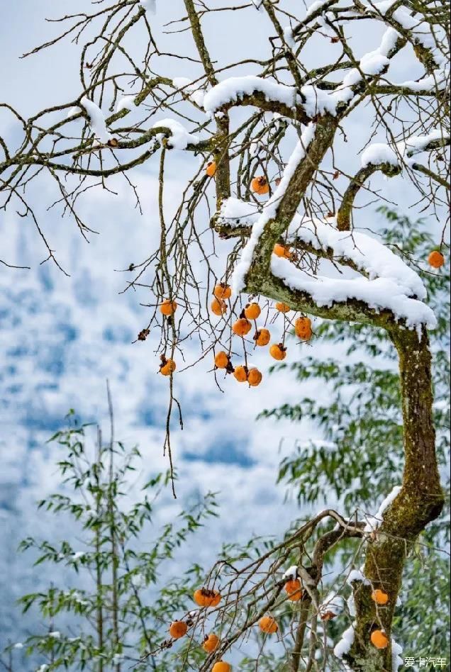 没有门票！无需登山！1天打来回的冷门耍雪地