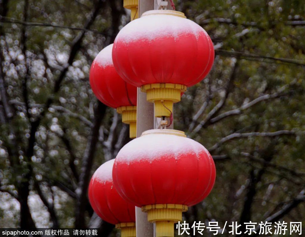 小雪|节气小雪丨天寒地冻，北京这里桃花却开了！（文末有福利）