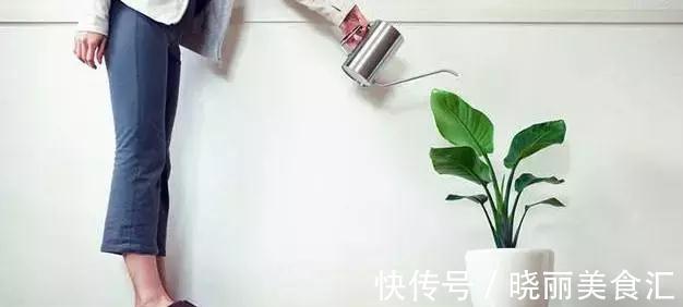刚买的花说死就死，因为你没有做好这11点养花细节