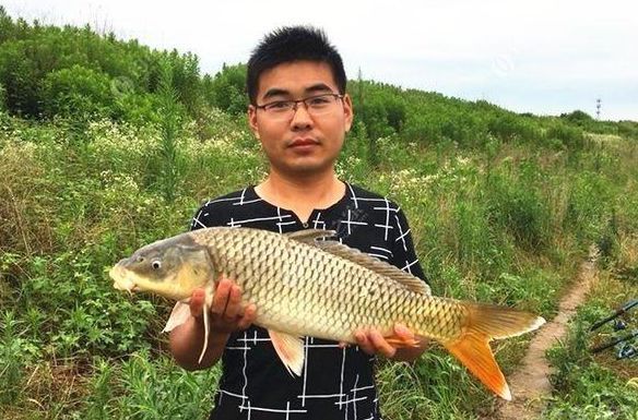 不是跟你吹，按照这些方法钓鲤鱼，竿竿都上鱼，老钓手都得输给你