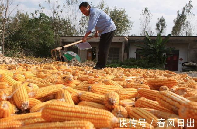 秋燥|8月7号立秋，农村老人常说“立秋有六怕”，分别指的是啥？在理吗