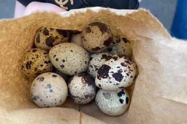 国际|国际最新研究:它是真正的抗癌利器!补足它,切断癌症通道