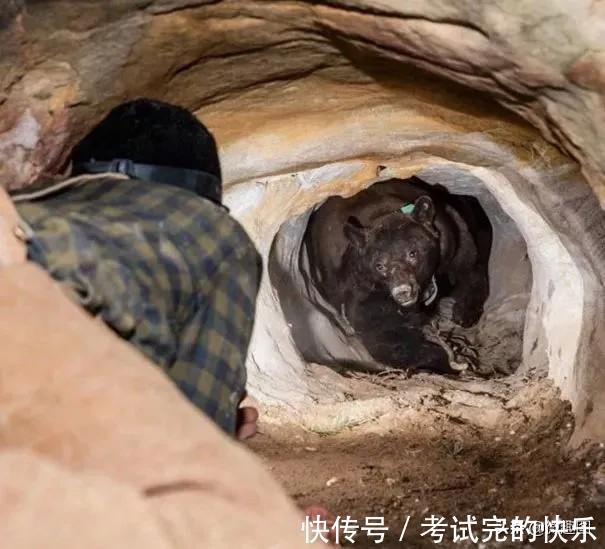 |47张“倒霉又搞笑”的图片，这些人上辈子是毁灭了银河系吗？