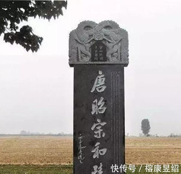 五品|唐朝一只猴子被封五品官?这不是虚构,它最后的壮举被人赞颂