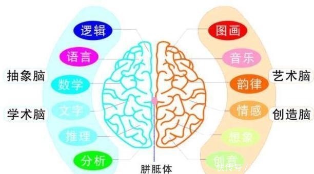 孩子|6岁之前是右脑开发关键期,做好3件事,孩子一天比一天聪明