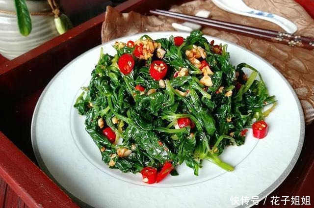 香菜|葱姜蒜,辣椒香菜,能否惹人爱