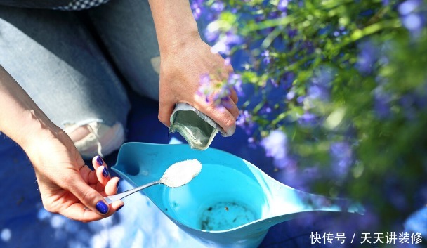 春天“叠加”施肥造成肥害,该怎么挽救?2种解决方法