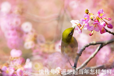 阴历|女人生于阴历几月，生来外貌一般，但很好命，注定会很幸福