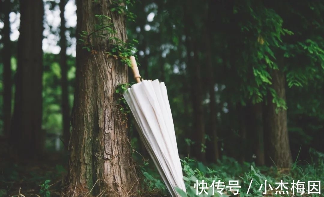 纳兰性德@30句深夜才敢看的诗句,句子很短,心酸却那么长!