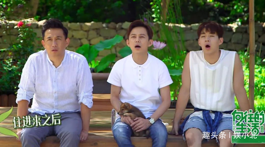 蘑菇|嘉宾重复请、广告太频繁、农活总干不完,被《向往4》劝退