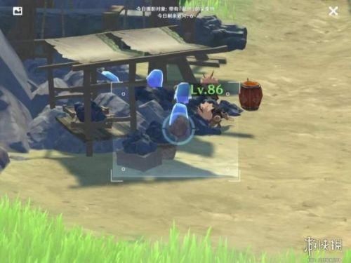 蒲公英 原神蓝色照片在哪里拍？蓝色照片采集物生物分布位置一览