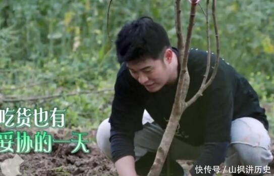 张子枫 《向往的生活》从第一季到第五季,真是越来越难看了!