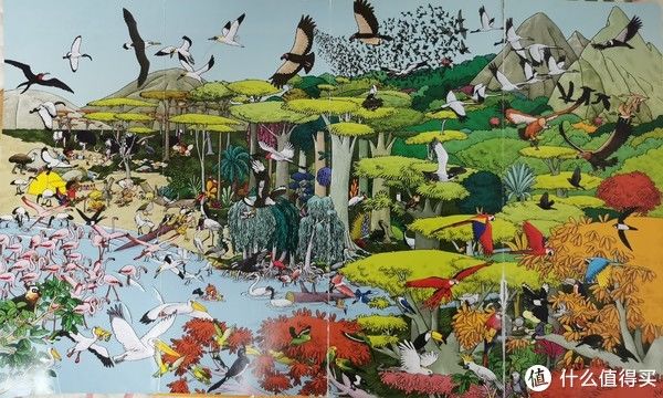  浪花朵朵|这个宝藏童书品牌你买过吗？科普、人文、自然、语言、逻辑全都有！