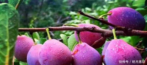 女性别太节俭,再穷也要多吃4种食物,美容养颜,告别“黄脸婆”