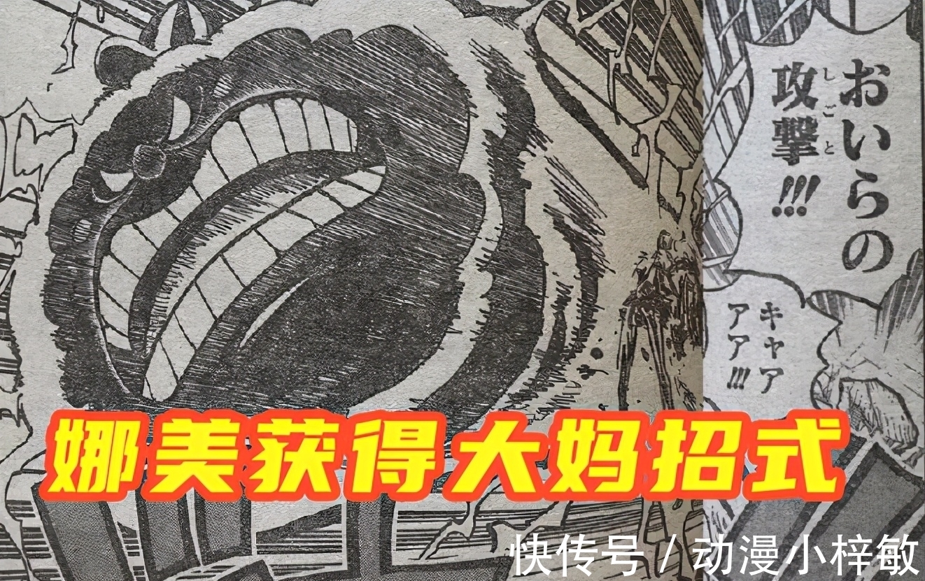 娜美|海贼王1016图解:尾田帮索隆“圆梦”,娜美意外收获四皇招式